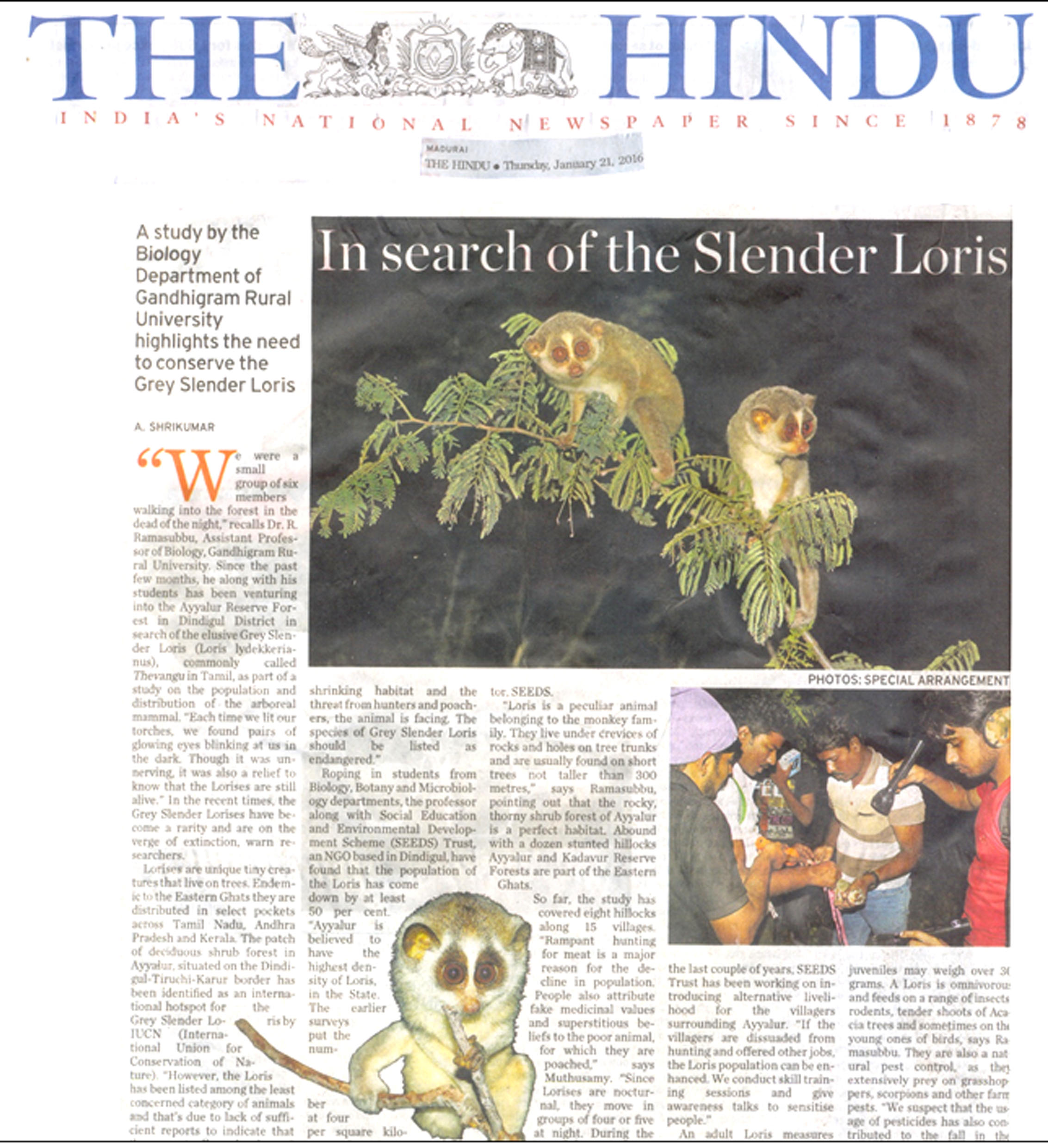 IN SEARCH OF THE SLENDER LORIS