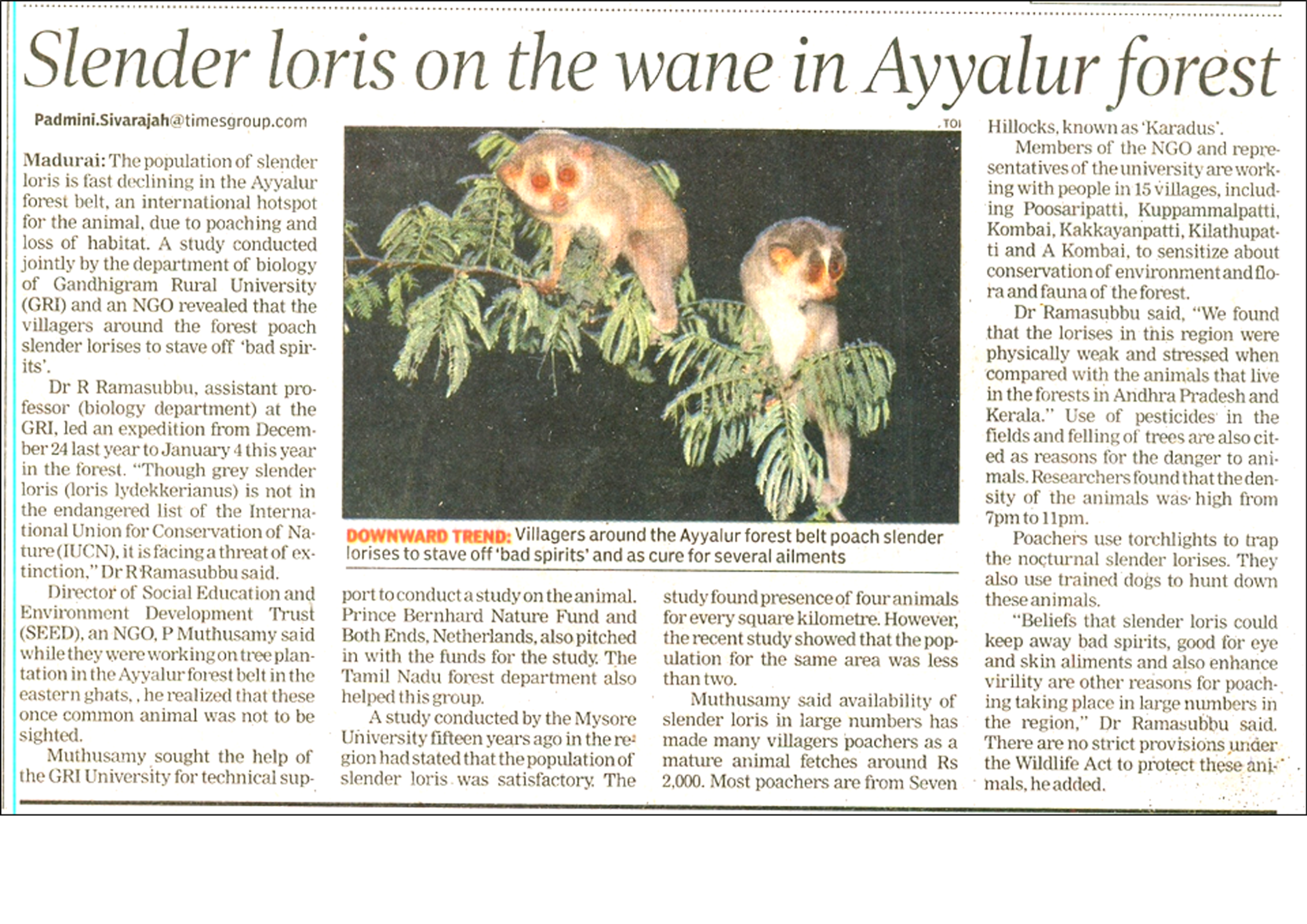 SLENDER LORIS ON THE WANE IN AYYALOR FOREST