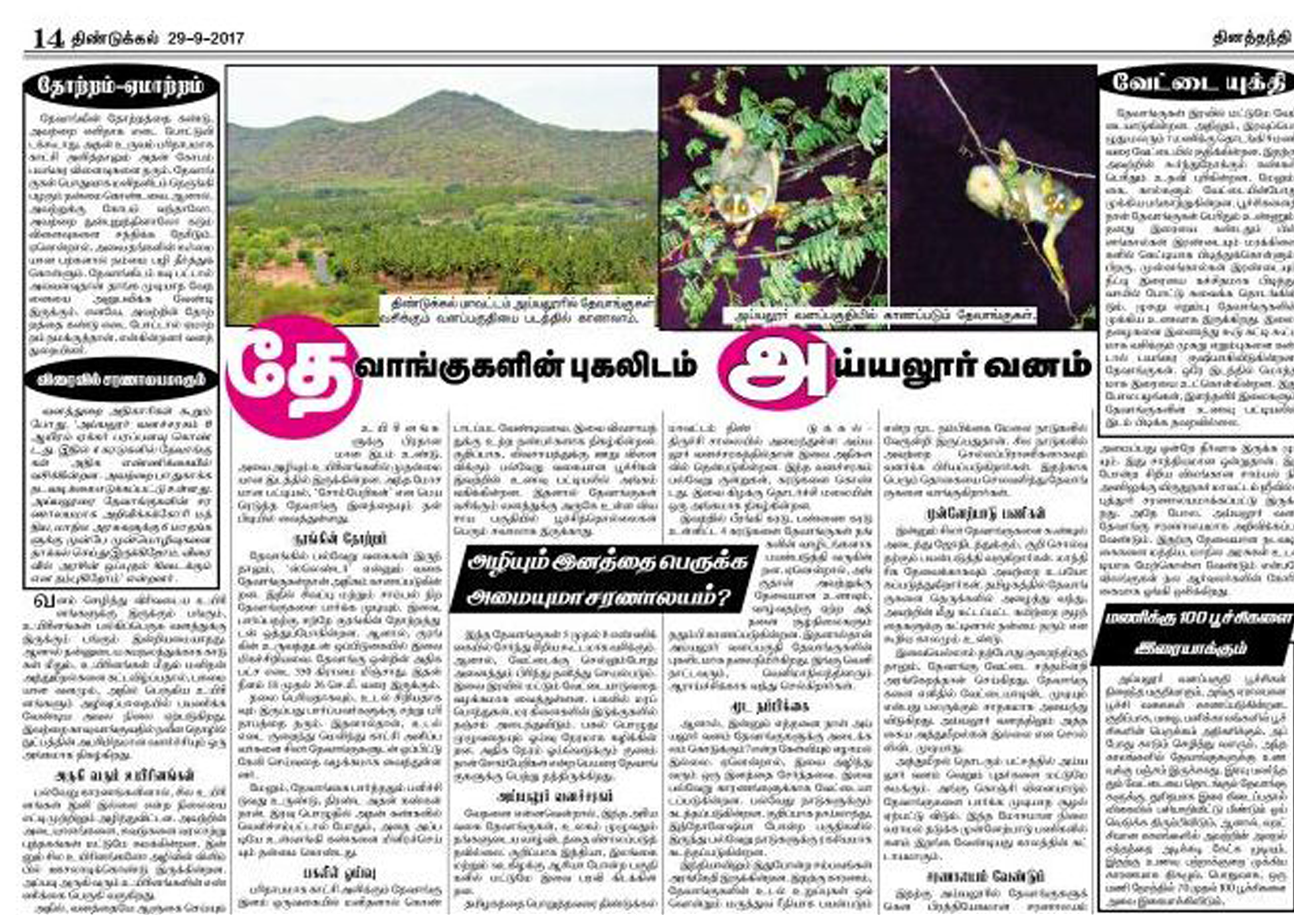 SLENDER LORIS HABITAT AT AIIYALOOR FOREST REGION