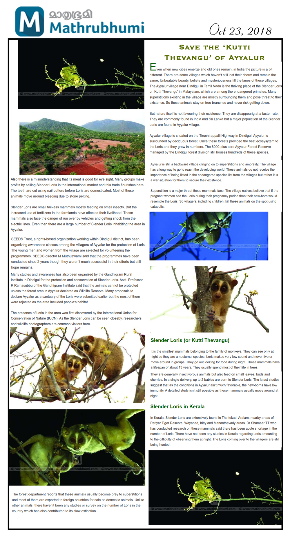 SAVE THE ‘KUTTI THEVANGU’ OF AYYALUR VILLAGE