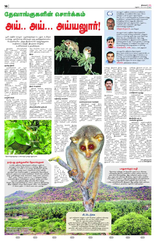 SLENDER LORIS CONSERVATION AT AIIYALOOR FOREST